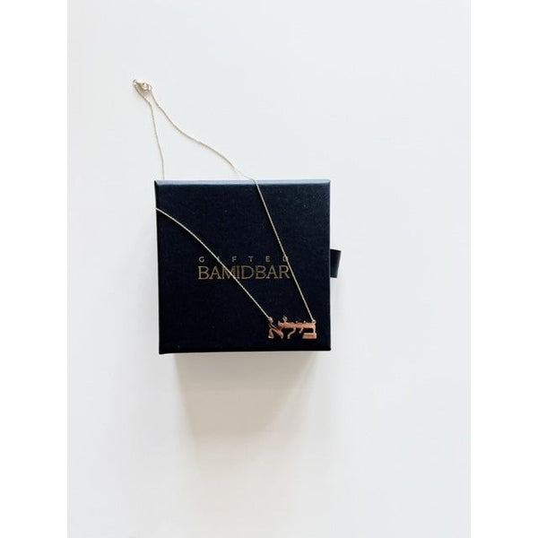 Personalized 14K Gold Name Necklace